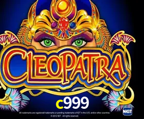 c999 Curitiba - Live Status